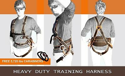 Paragliding, Paramotor, Paraglider, Kiting Ground Handling Harness W/carabiners